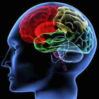 Announcing Brain Series Ingredients