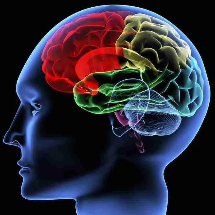 Cognitive Health
