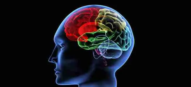 Cognitive Health