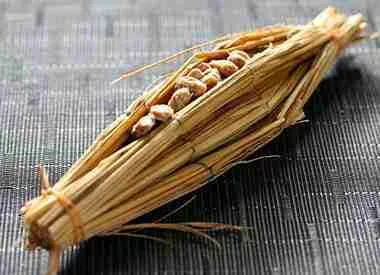 Nattokinase