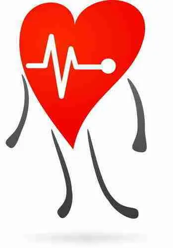Heart Health Ingredients