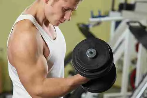 Testosterone Support Ingredients