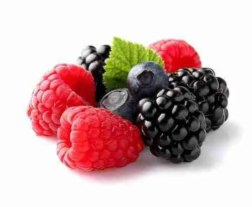 Berry Ingredients
