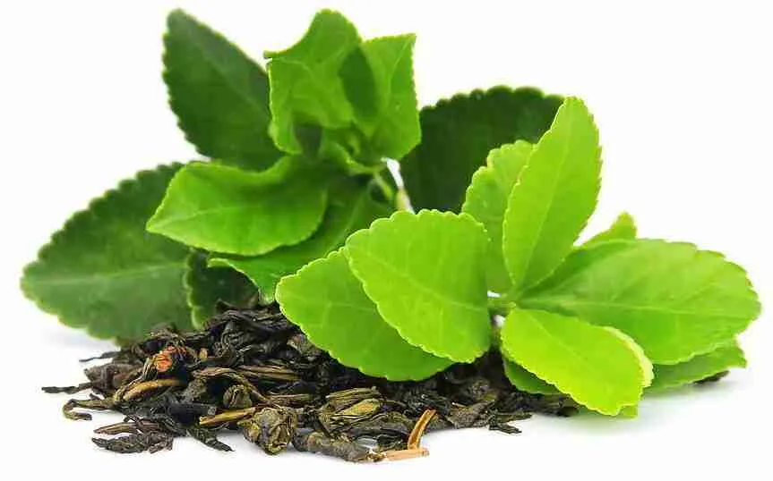Tea leaves
