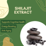 Shilajit Extract benefits, Ayurvedic medicine, adaptogenic qualities, Himalayan Shilajit, holistic wellness.