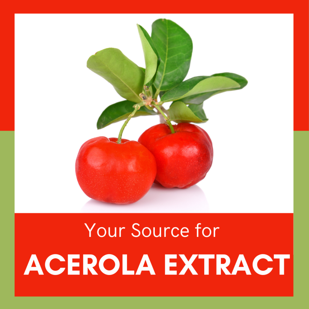 Acerola Extract: Nurturing Health Through Natural Vitamin C