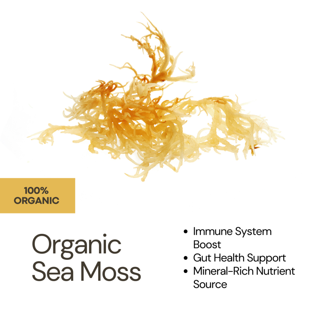 Supplying Excellence: High-Quality Organic Sea Moss