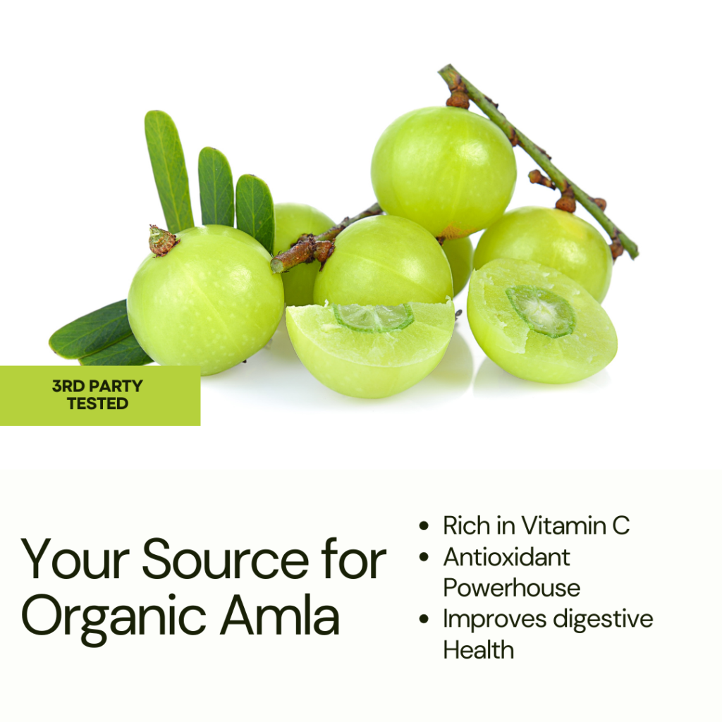 Discover the Difference: Harness the Benefits of Organic Amla Extract