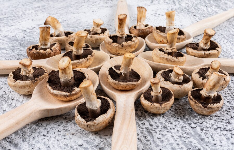 Efficient Agaricus Mushroom P.E. 4:1 Production: Raw Material Planning Tips