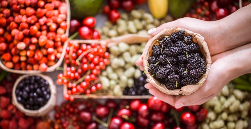 Discovering the Best: Sourcing Organic Acai for Health