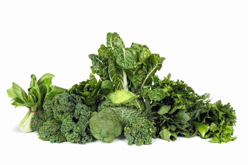 Broccoli Extract yielding a high production rate