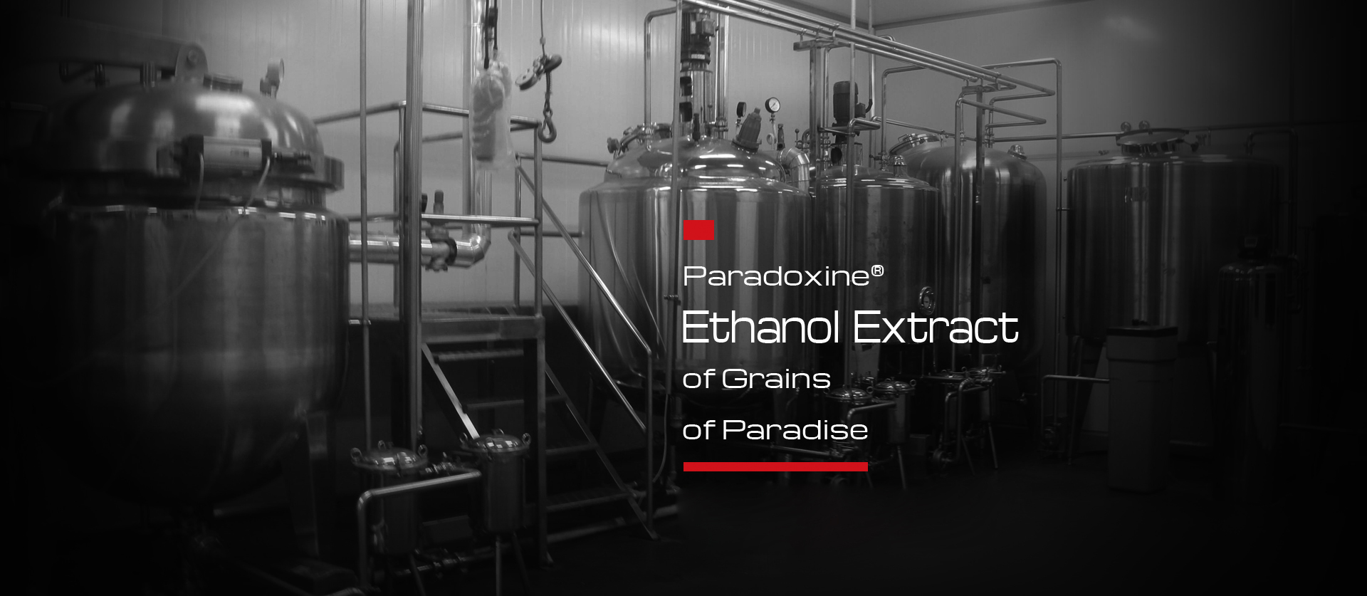 Paradoxine Ethanol Extract of Grains of Paradise