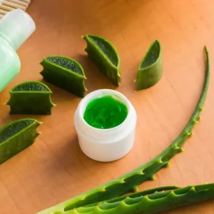 Aloe Powder: Supply Chain