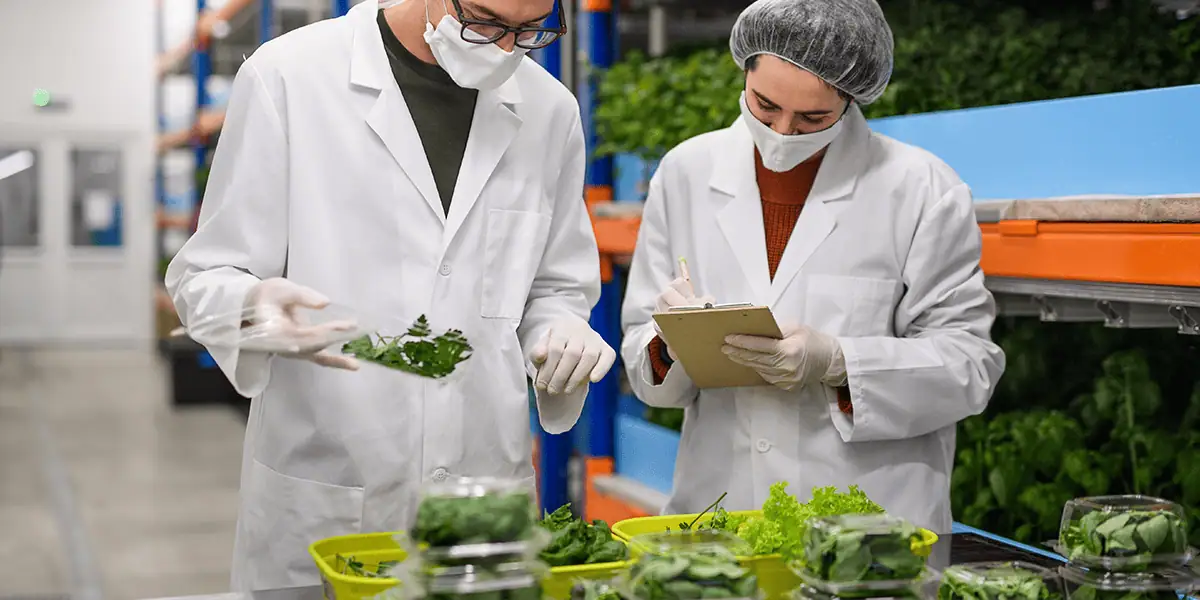 Nutraceutical supply chain raw ingredient sourcing and formulation support for supplement brands and contract manufacturers navigating industry complexity